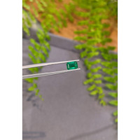1.03 Ct. Emerald from Zambia Life Style