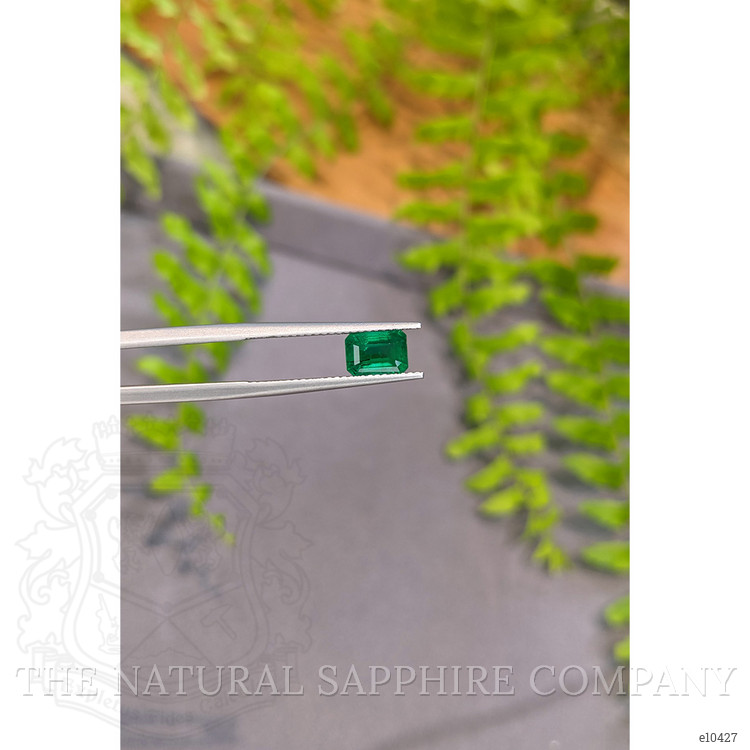 1.25 Ct. Emerald from Zambia