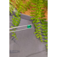 0.89 Ct. Emerald from Zambia Life Style