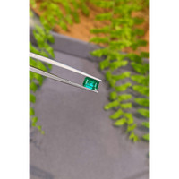 1.16 Ct. Emerald from Zambia Life Style