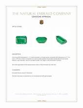 1.12 Ct. Emerald from Zambia Appraisal