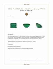 0.73 Ct. Emerald from Zambia Appraisal