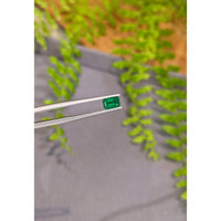 0.73 Ct. Emerald from Zambia Life Style