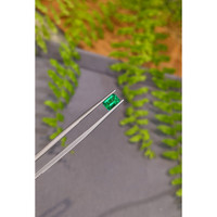 0.79 Ct. Emerald from Zambia Life Style