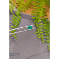 0.96 Ct. Emerald from Zambia Life Style