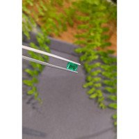 1.05 Ct. Emerald from Zambia Life Style