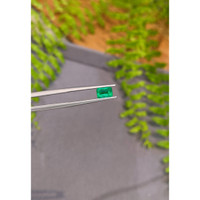 0.85 Ct. Emerald from Zambia Life Style
