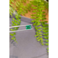 1.26 Ct. Emerald from Zambia Life Style