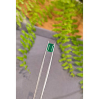 1.43 Ct. Emerald from Zambia Life Style