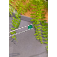 1.52 Ct. Emerald from Zambia Life Style