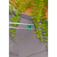 1.55 Ct. Emerald from Zambia Life Style