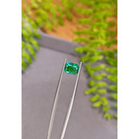1.14 Ct. Emerald from Zambia Life Style