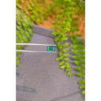 2.02 Ct. Emerald from Zambia Life Style