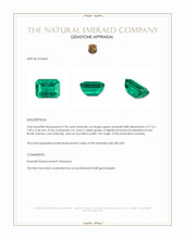 2.78 Ct. Emerald from Zambia Appraisal
