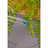 2.78 Ct. Emerald from Zambia Life Style