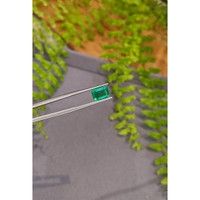 2.64 Ct. Emerald from Zambia Life Style