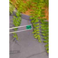 2.16 Ct. Emerald from Zambia Life Style