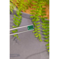 2.03 Ct. Emerald from Zambia Life Style