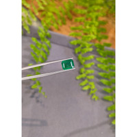 2.60 Ct. Emerald from Zambia Life Style