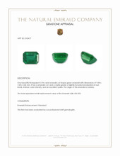 2.94 Ct. Emerald from Zambia Appraisal