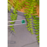 1.91 Ct. Emerald from Zambia Life Style