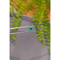 1.02 Ct. Emerald from Zambia Life Style