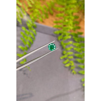 1.09 Ct. Emerald from Zambia Life Style