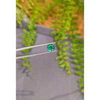 1.66 Ct. Emerald from Zambia Life Style