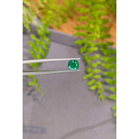 1.47 Ct. Emerald from Zambia Life Style