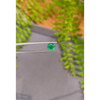 1.27 Ct. Emerald from Zambia Life Style