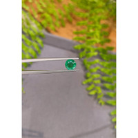1.27 Ct. Emerald from Zambia Life Style