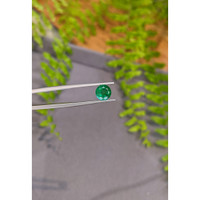 1.77 Ct. Emerald from Zambia Life Style
