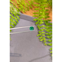 1.26 Ct. Emerald from Zambia Life Style