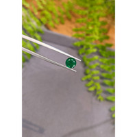 1.18 Ct. Emerald from Zambia Life Style