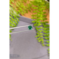 1.17 Ct. Emerald from Zambia Life Style