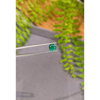 1.39 Ct. Emerald from Zambia Life Style