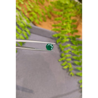 1.38 Ct. Emerald from Zambia Life Style
