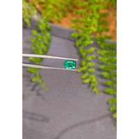 1.97 Ct. Emerald from Zambia Life Style
