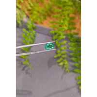 1.59 Ct. Emerald from Zambia Life Style
