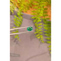 1.89 Ct. Emerald from Zambia Life Style