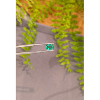 1.57 Ct. Emerald from Zambia Life Style