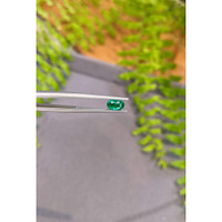 0.76 Ct. Emerald from Zambia Life Style