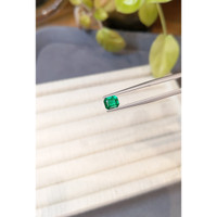 0.82 Ct. Emerald from Zambia Life Style