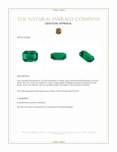 0.73 Ct. Emerald from Zambia Appraisal