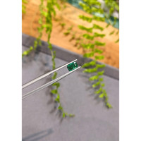 0.73 Ct. Emerald from Zambia Life Style