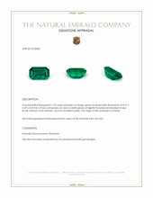 1.39 Ct. Emerald from Zambia Appraisal