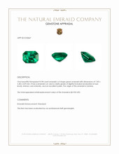 0.98 Ct. Emerald from Zambia Appraisal