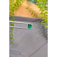 0.98 Ct. Emerald from Zambia Life Style