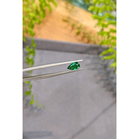 0.60 Ct. Emerald from Zambia Life Style