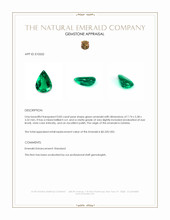 0.83 Ct. Emerald from Zambia Appraisal